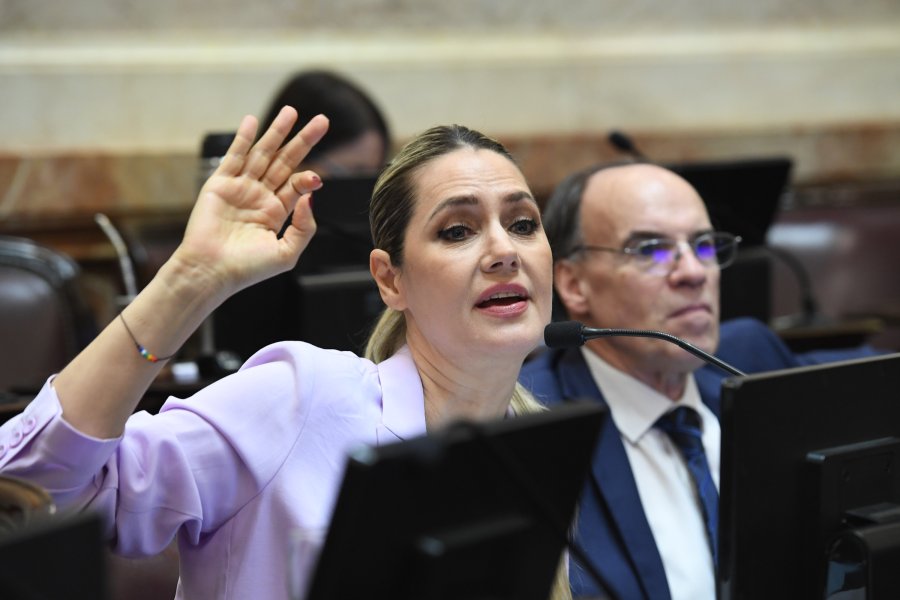 La senadora santafesina, Carolina Losada, carg&oacute; contra el kirchnerismo por los casos de Cristina Kirchner, Amado Boudou y el tucumano Alperovich. (<a href="mailto:X@SENADO" target="_blank" rel="noopener">X@SENADO</a>)