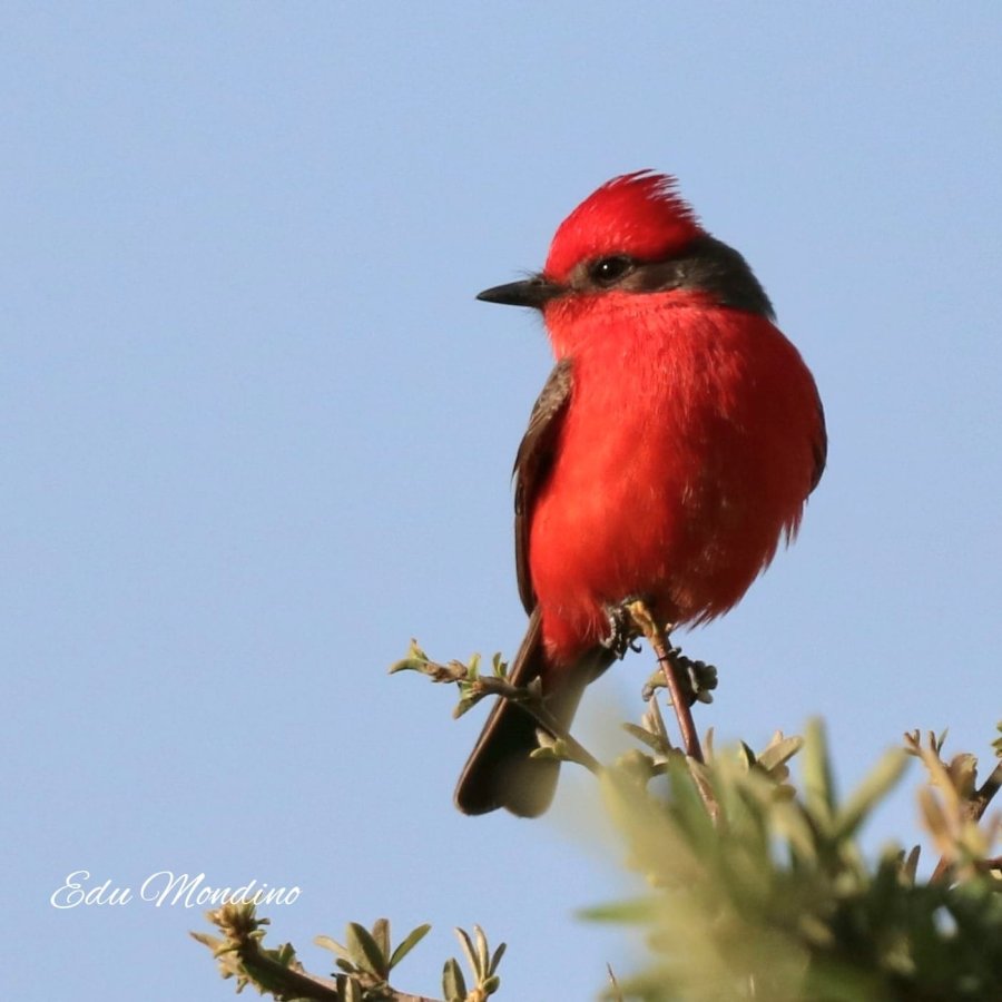 una de las imágenes que pueden apreciarse en el recinto.