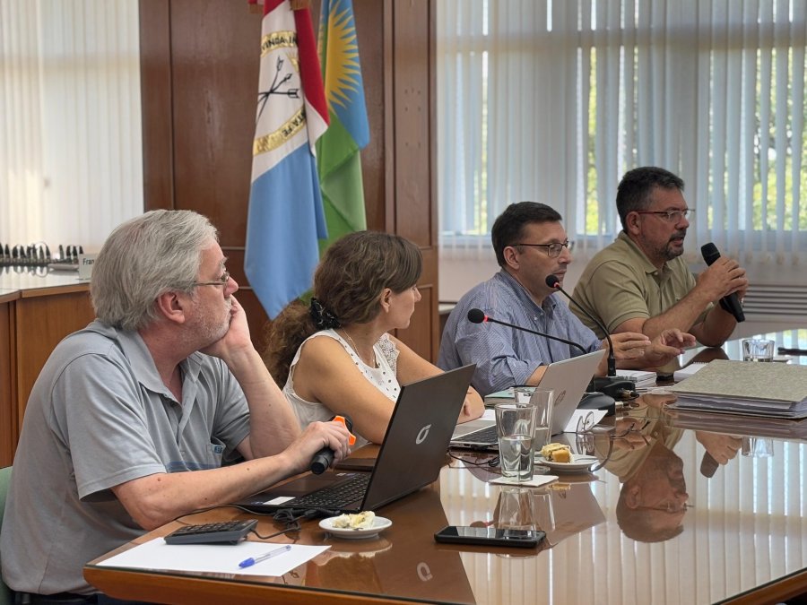 Marcelo Barbero, Silvina Bravino, Lisandro M&aacute;rsico y Germ&aacute;n Bottero.