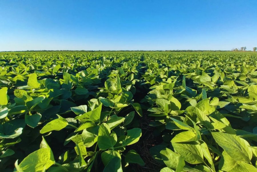 LO QUE VIENE. "La Niña" podría sentirse en enero, con escasas lluvias y temperaturas muy elevadas.