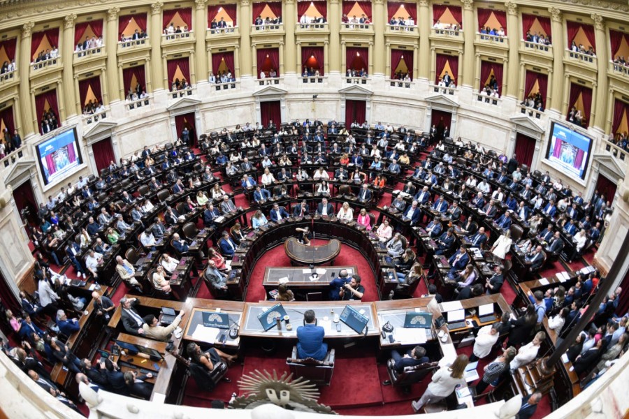 La Cámara de Diputados se renovará el próximo año.