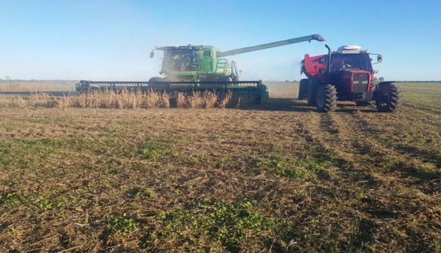 VOLUMEN. Los tres principales productores y exportadores de soja del mundo tendrán excelentes cosechas.