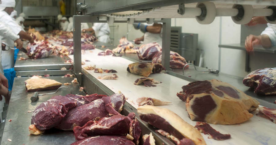 LOGRO. Argentina se afianza en un mercado de importancia y con una demanda creciente.