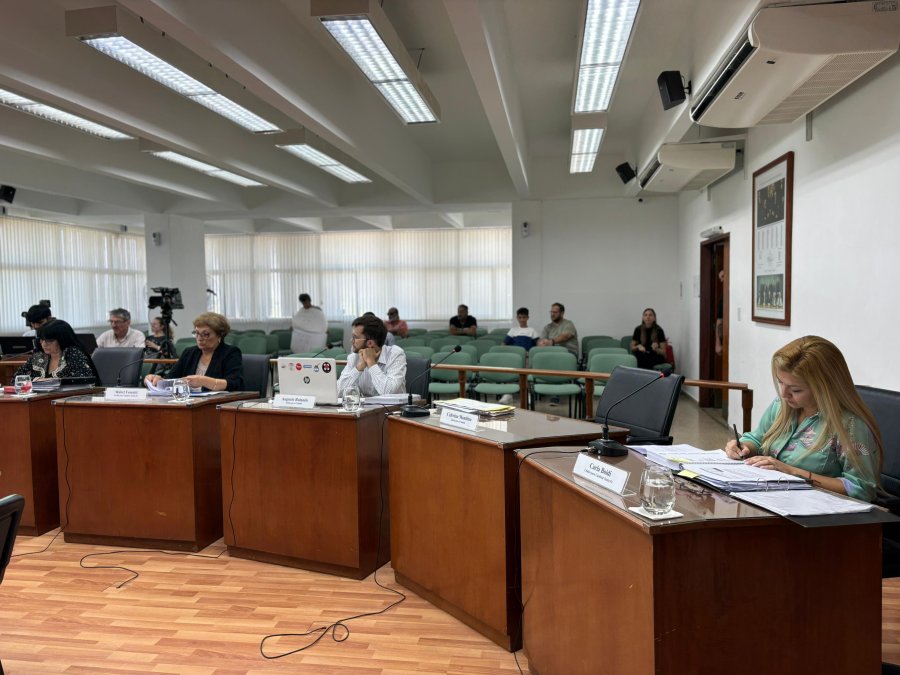 CRUCES. El presidente M&aacute;rsico debi&oacute; desempatar una votaci&oacute;n sobre las partidas para vecinales que impulsaba el bloque no oficialista.