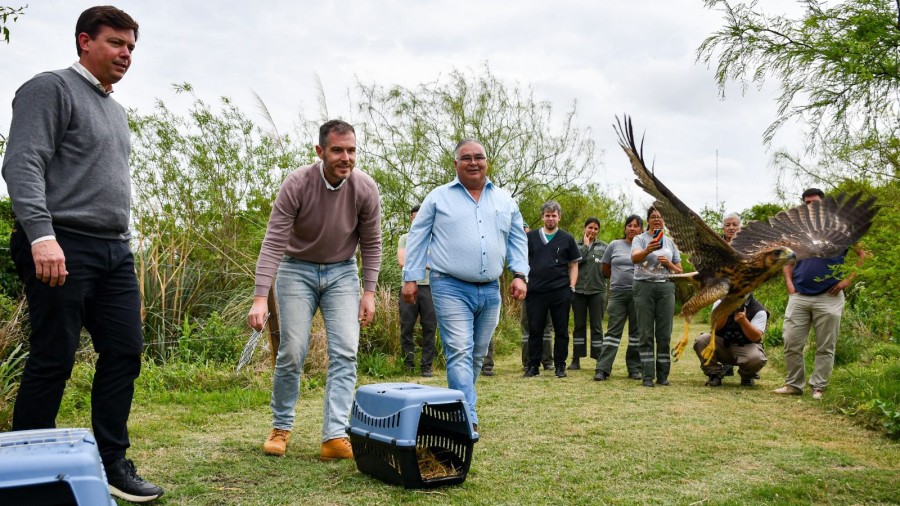 Provincia comenz&oacute; la transformaci&oacute;n del Centro &ldquo;La Esmeralda&rdquo;, que ser&aacute; un hito en conservaci&oacute;n ambiental.
