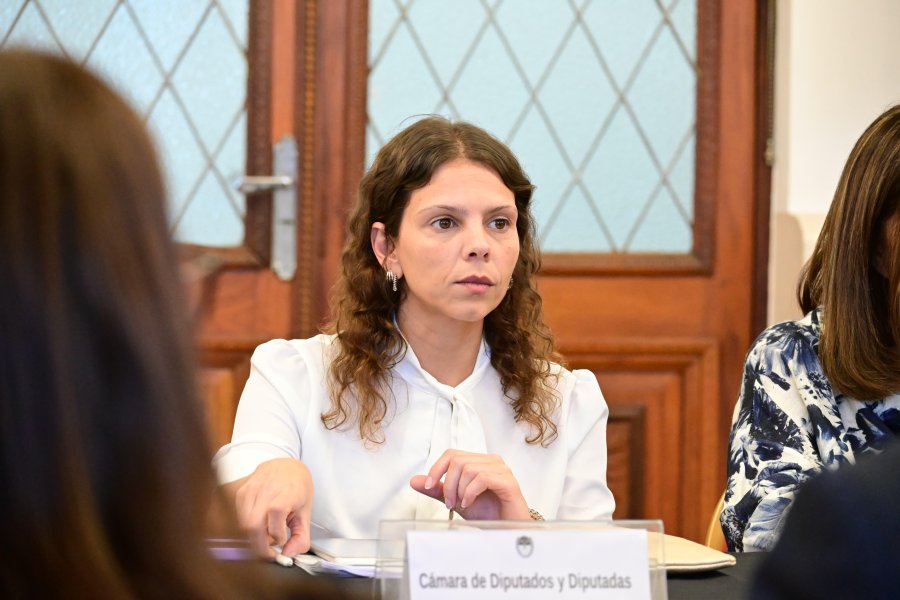 Gisel Mahmud destac&oacute; la centralidad del socialismo en la actividad legislativa santafesina.