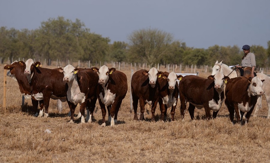 EXPECTATIVAS. A pesar de los obstáculos, la cadena se muestra optimista para lo que viene.