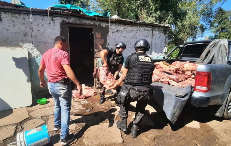 SECUESTRADO. En el búnker se secuestraron 700 kg de carne vacuna recién faenada.