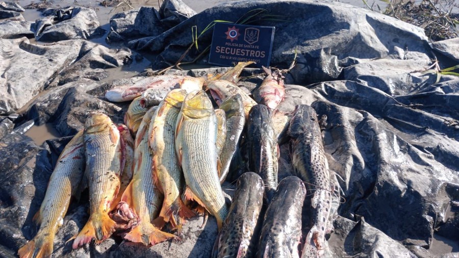 Identificaron a tres individuos por infracción a la Ley Provincial N°12.212 (Ley de Pesca).