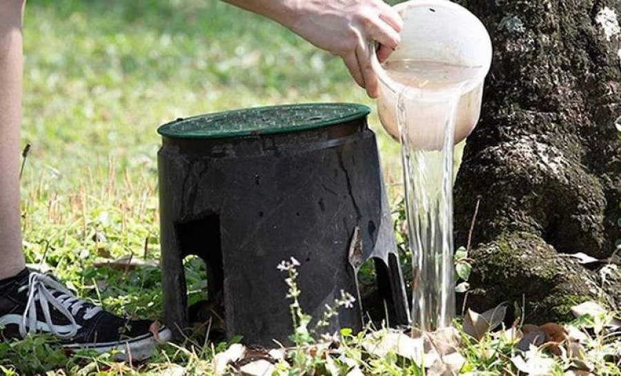 El calor y la humedad son aliados de los mosquitos y el dengue.
