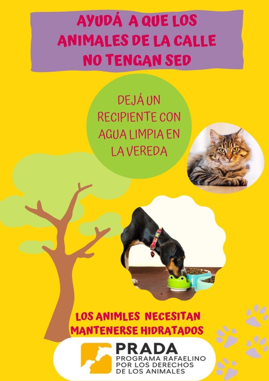 Con simples acciones, se garantiza que pasen la temporada m&aacute;s fresca y segura posible.