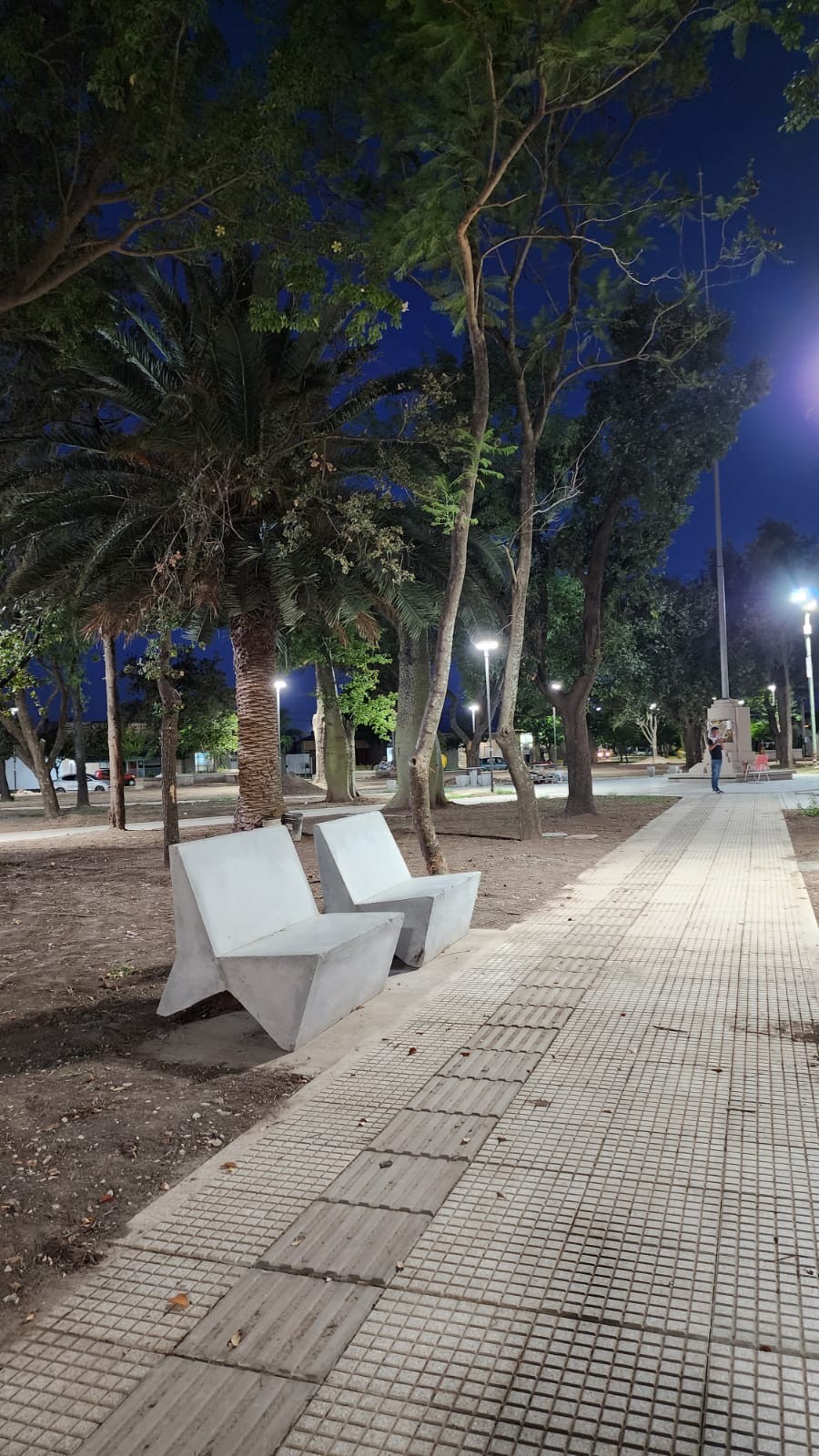 Fantástica imagen del paseo público remozado.