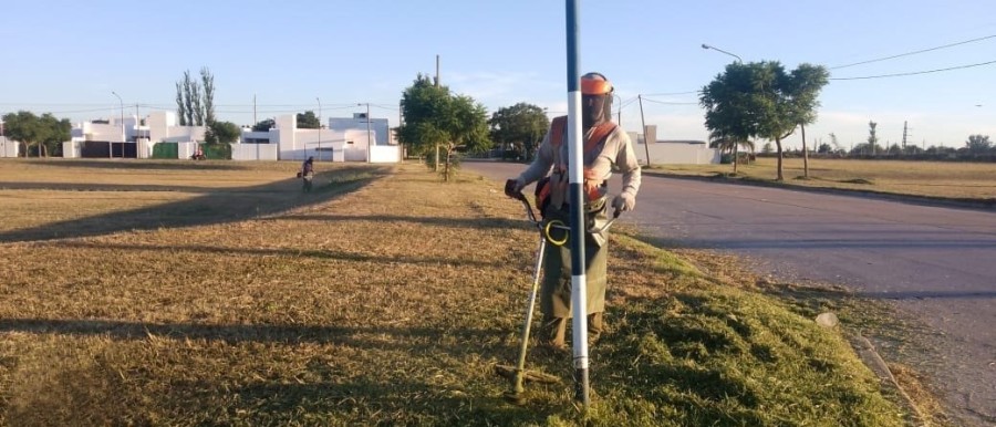 El Municipio realiza permanente monitoreo de lotes privados.