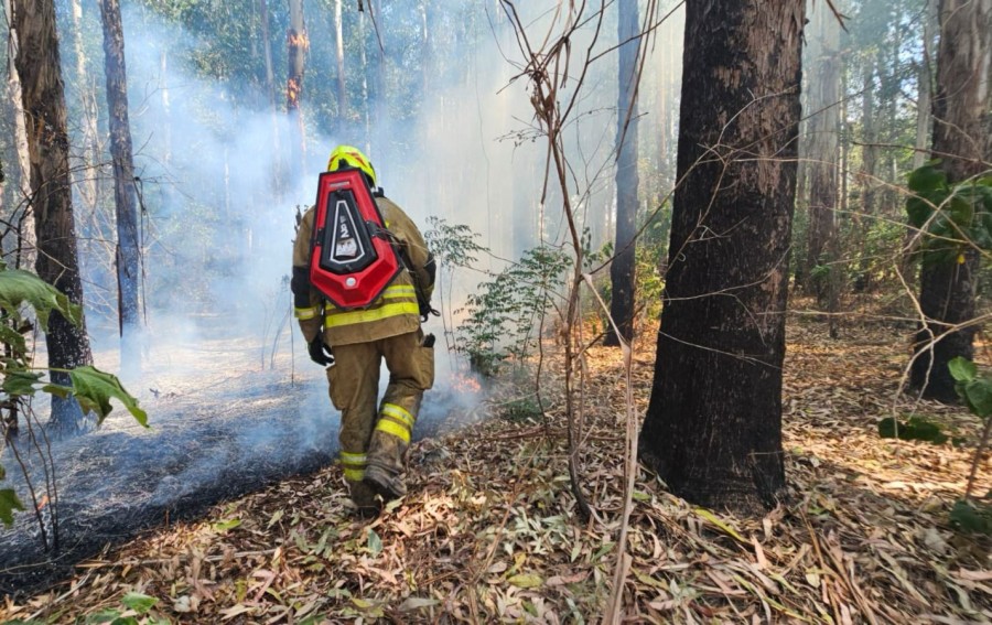Se monitorea permanentemente el &aacute;rea para evitar nuevos focos.