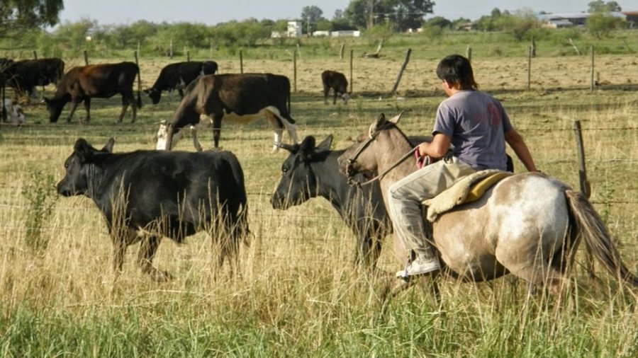 Los trabajadores rurales y estibadores seguir&aacute;n teniendo la cobertura de la Mutual Abril.