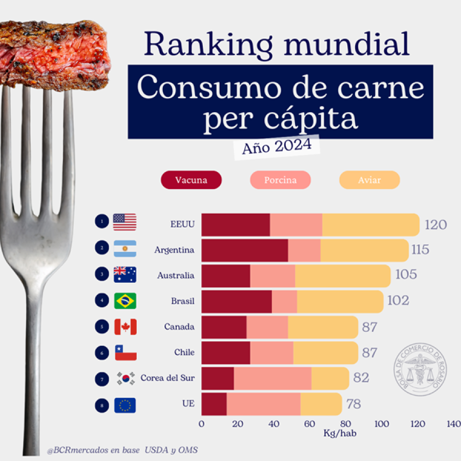 ESTIMACIONES. Argentina fue el segundo país con mayor consumo promedio de carnes por habitante en 2024.