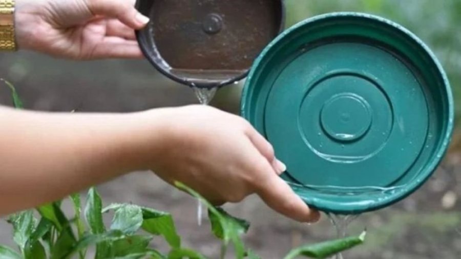 RECOMENDACIONES. El municipio recuerda a la ciudadanía cuáles son las medidas de prevención adecuadas para prevenir el avance del dengue.