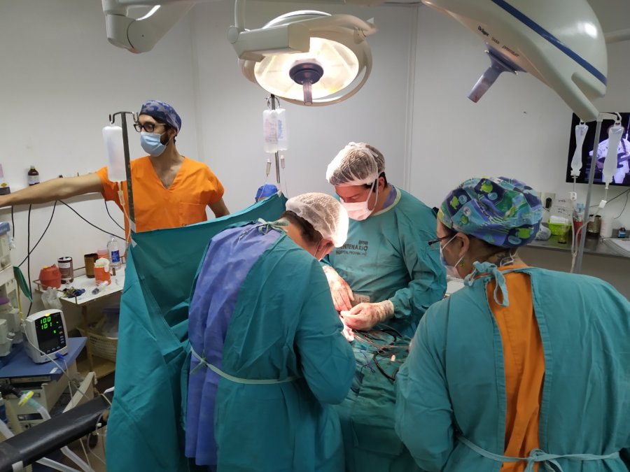 ABLACIONES. Se realizaron 3 en la zona de Rosario de alrededores.