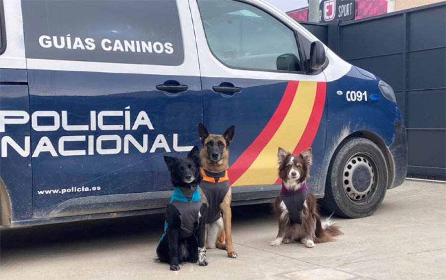 perros de trabajo asignados a la polic&iacute;a espa&ntilde;ola.
