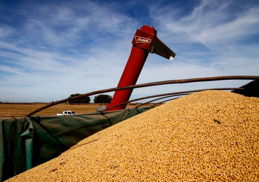 En 2024 crecieron las exportaciones del agro argentino.