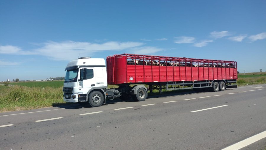 INVERSIÓN. La firma ramonense destinará los fondos a ampliar su flota para logística.