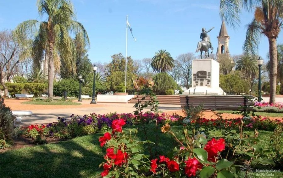 LO QUE ES. Flores coloridas, gran arboleda, tierra naranja... un bello florecer para el centro de la ciudad.