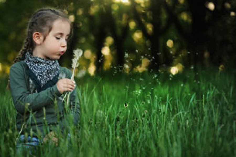 Se busca destacar la importancia del medio ambiente y el equilibrio entre el hombre y la naturaleza.