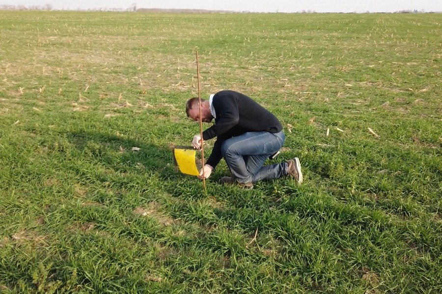 El Ingeniero Claudio Ortmann durante una de las actividades de control en los campos de la región.