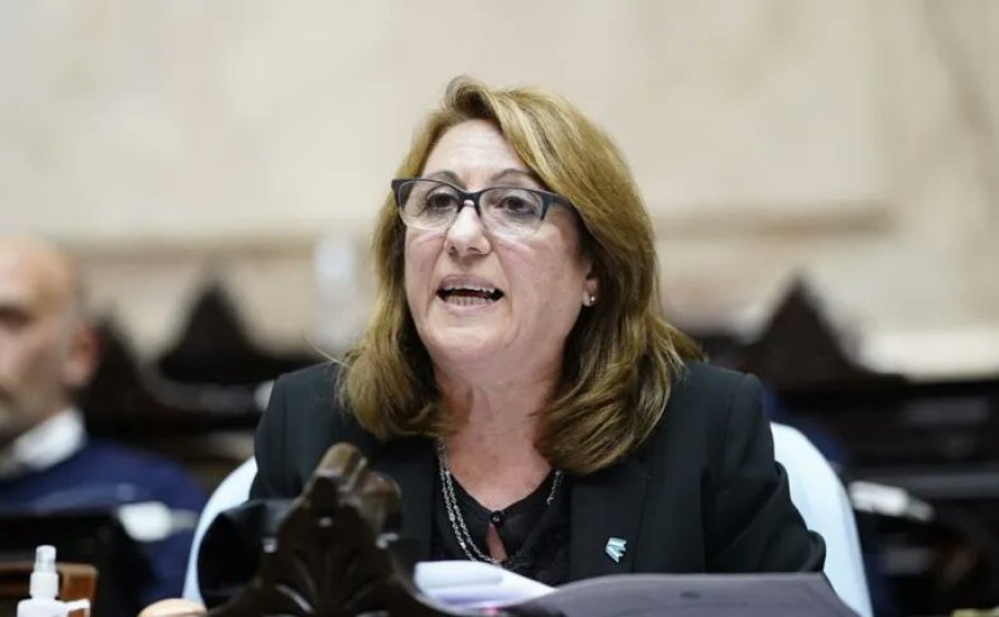 M&oacute;nica Fein, diputada nacional por el PS y titular del partido a nivel nacional. (FOTO ARCHIVO)