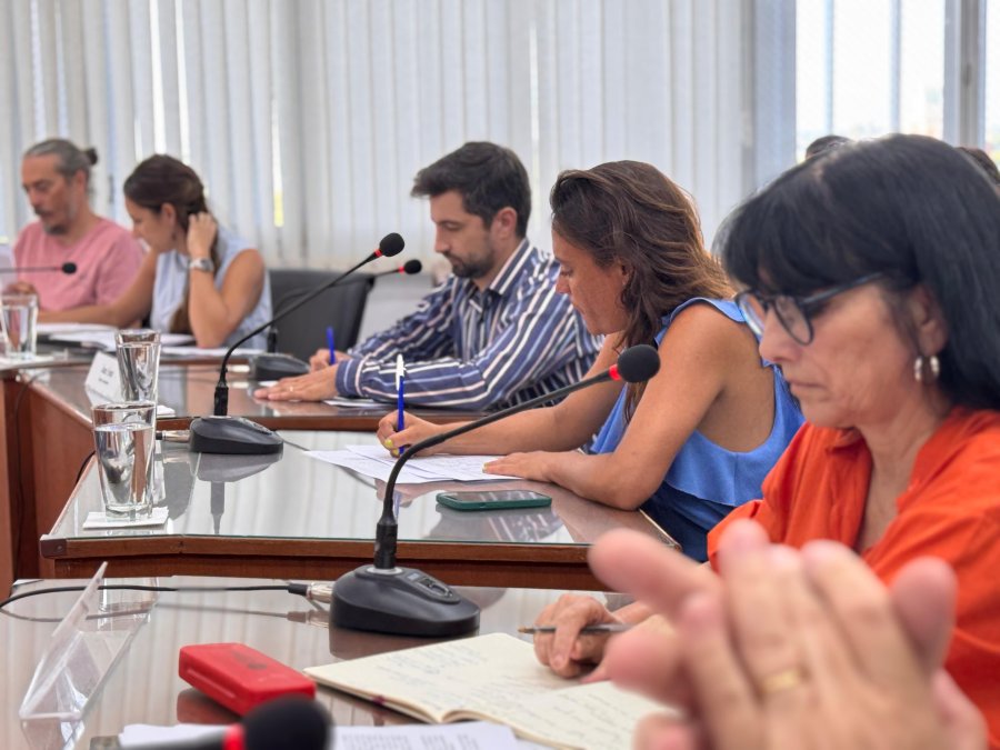 Los concejales durante la reuni&oacute;n de comisi&oacute;n con funcionarios del Ejecutivo, este lunes por la ma&ntilde;ana.