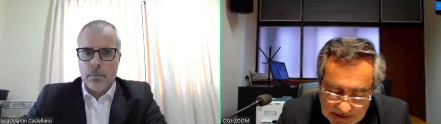El fiscal Martín Castellano y el juez Javier Bottero durante la audiencia remota.