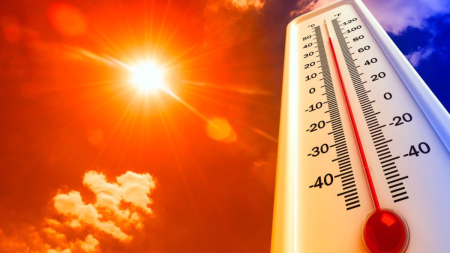 Prevenci&oacute;n ante las altas temperaturas.