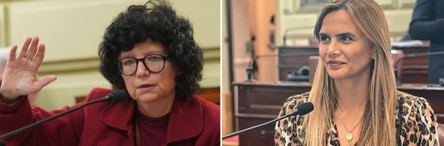 Silvia Malfesi y Amalia Granata, autoras del proyecto.