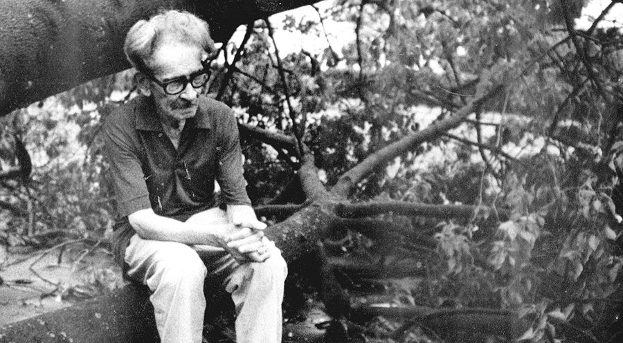 Juan Laurentino Ortiz, el particular poeta.