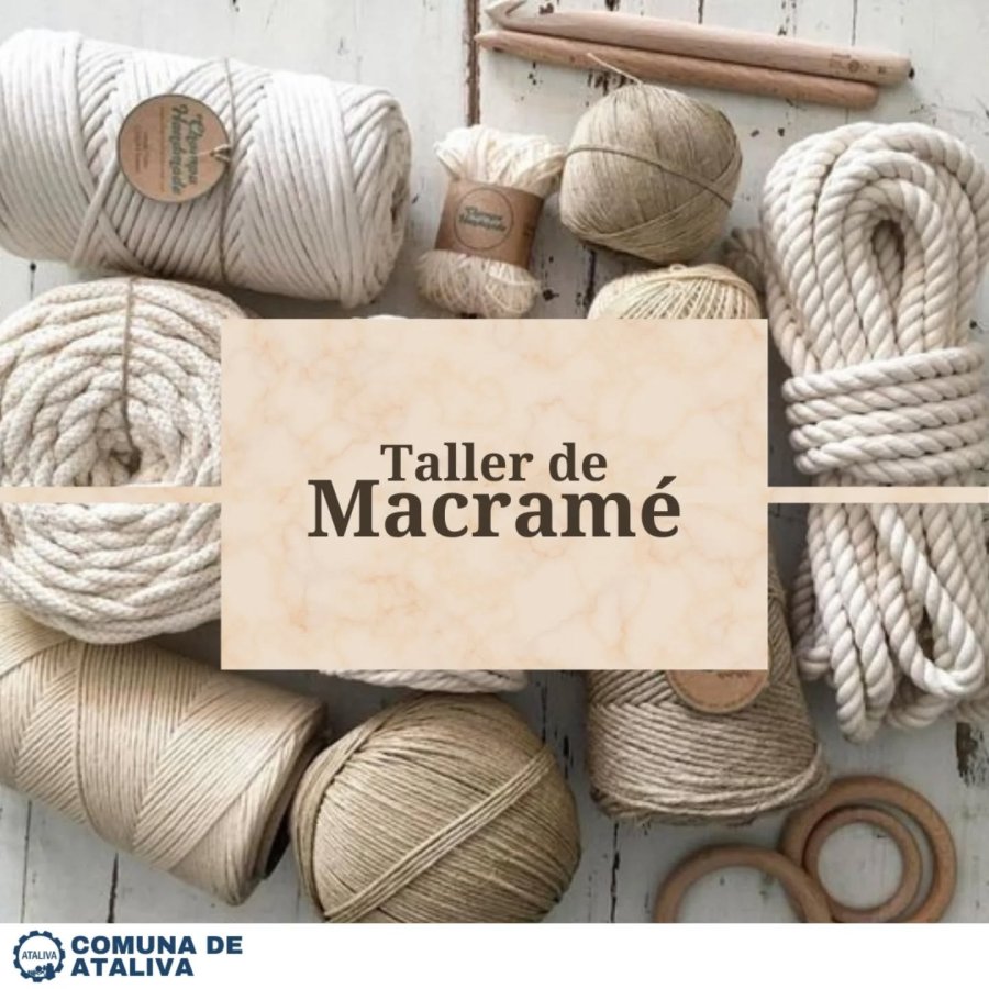 Difusión de la propuesta.