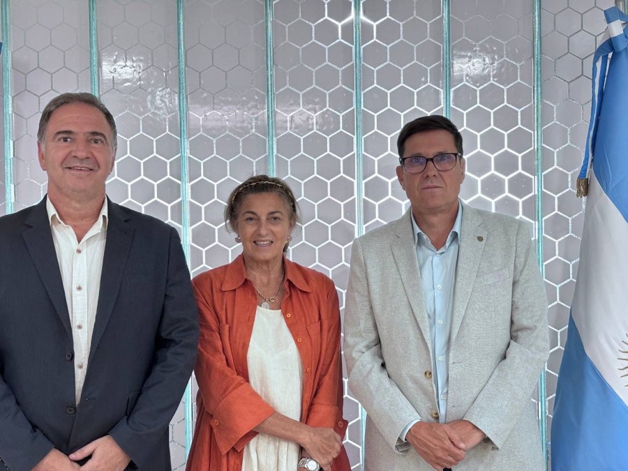 Cada provincia también compartió los alcances y buenas prácticas implementadas en torno al objetivo de alfabetización.