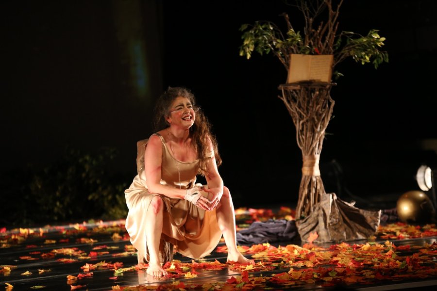 FESTIVAL DE TEATRO. Este año celebra su vigésima edición.