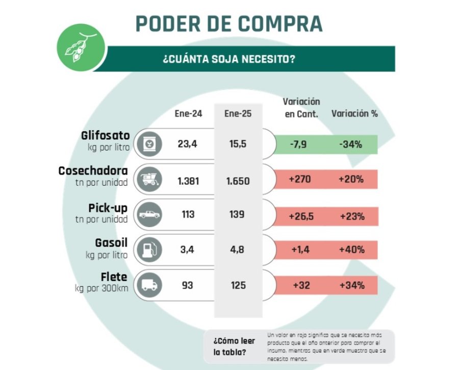 SOJA. Es el cultivo que mayor poder adquisitivo perdió en 2024 y en los últimos cinco años.