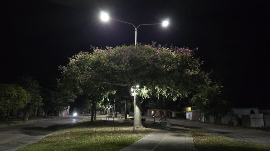 La apertura de sobres se realizar&aacute; el 27 de marzo de 2025.