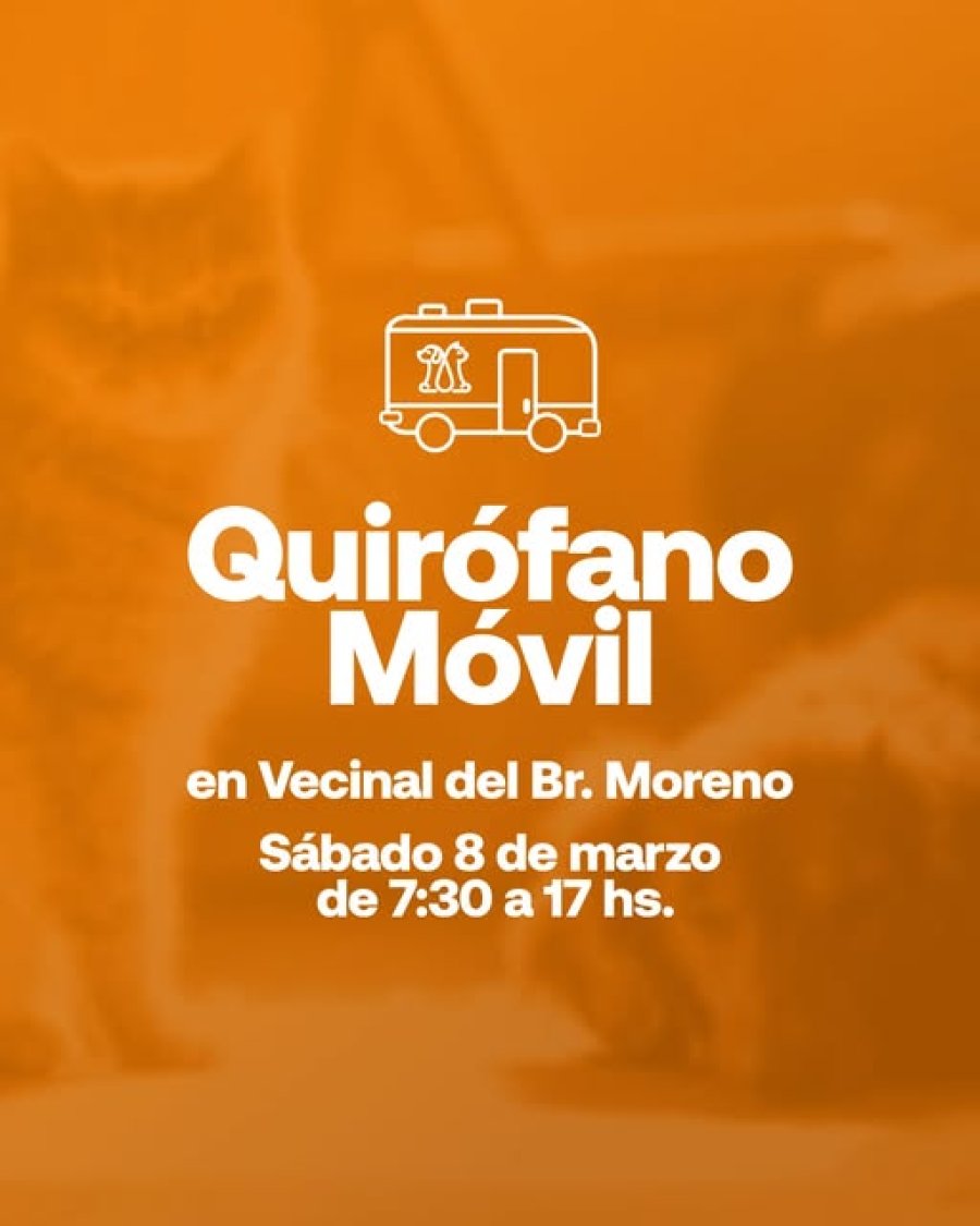 Difusión de la actividad.