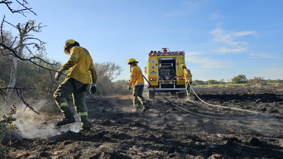 Brigadistas lograron apagar los incendios en Cacique Ariacaiqu&iacute;n.
