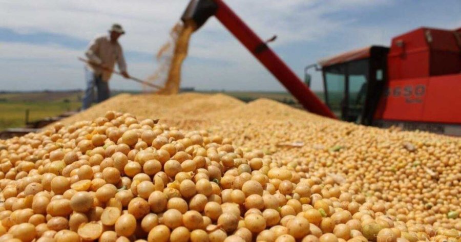 Para los productores, lo mejor es "soja en mano".