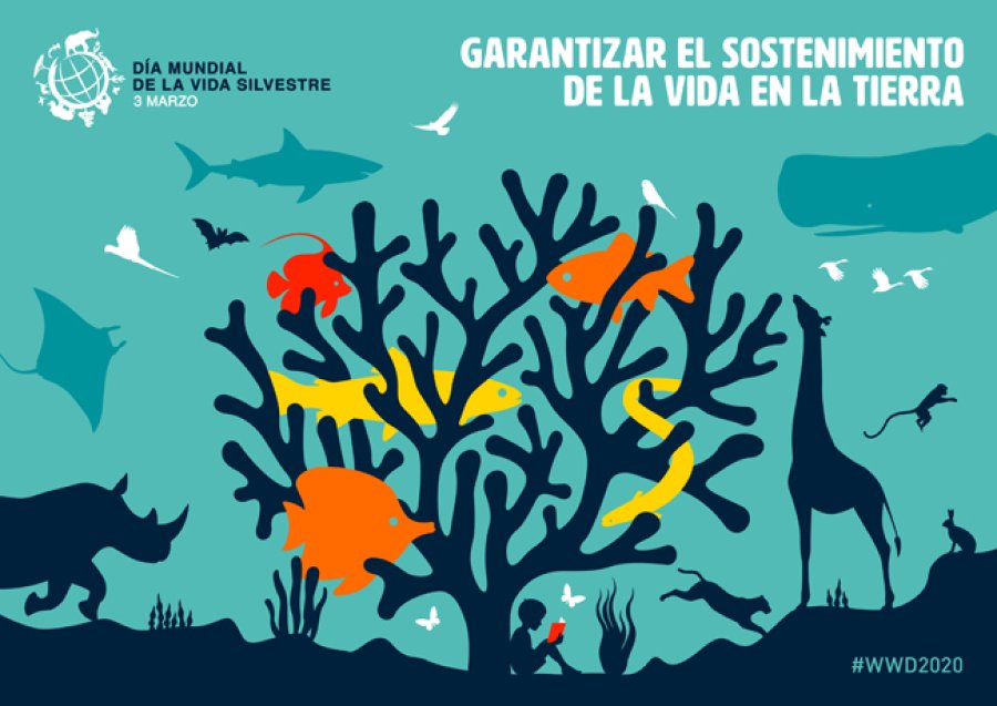 Cartel recordando la efeméride en 2020.