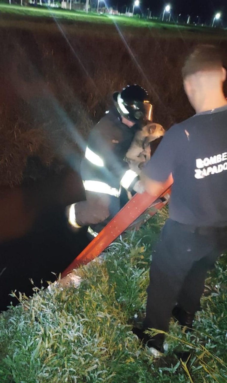 El canino fue retirado de una zanja de 3 m de profundidad por los bomberos rafaelinos.