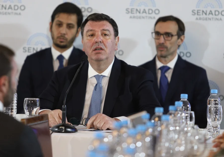 El juez federal Ariel Lijo, durante su audiencia pública en el Senado de la Nación.