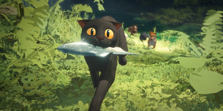 Conocé la programación del Cine Belgrano.