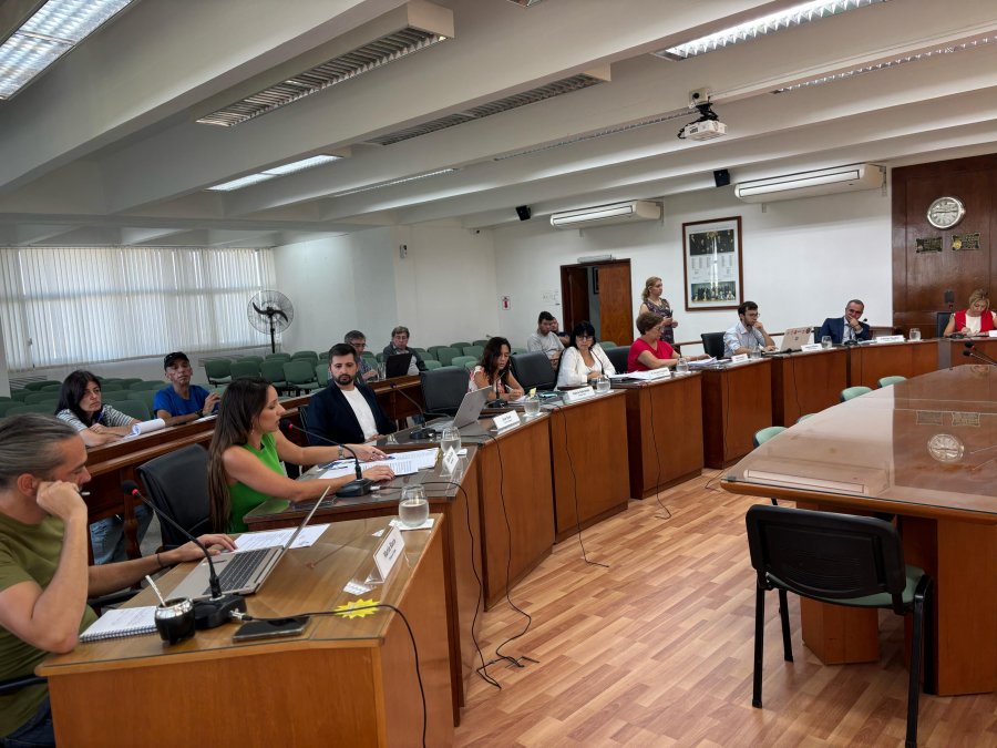 ATAQUES Y CONTRAATAQUES. La sesi&oacute;n del Concejo qued&oacute; atravesada por la pr&oacute;xima elecci&oacute;n primaria de concejales.