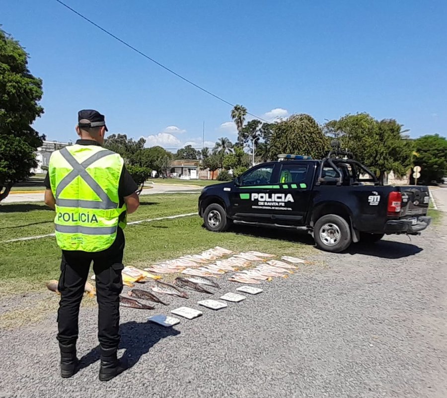 La Policía de Seguridad Vial Unidad Operativa Regional N° 2 (Rafaela) incautó especies ictícolas por infringir la Ley Provincial de Pesca.
