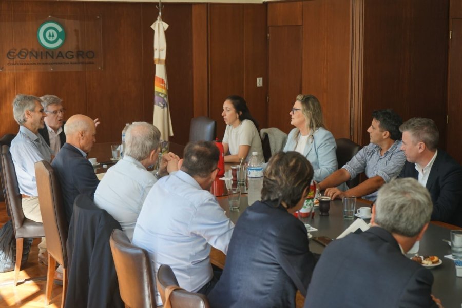 Liga Bioenerg&eacute;tica.