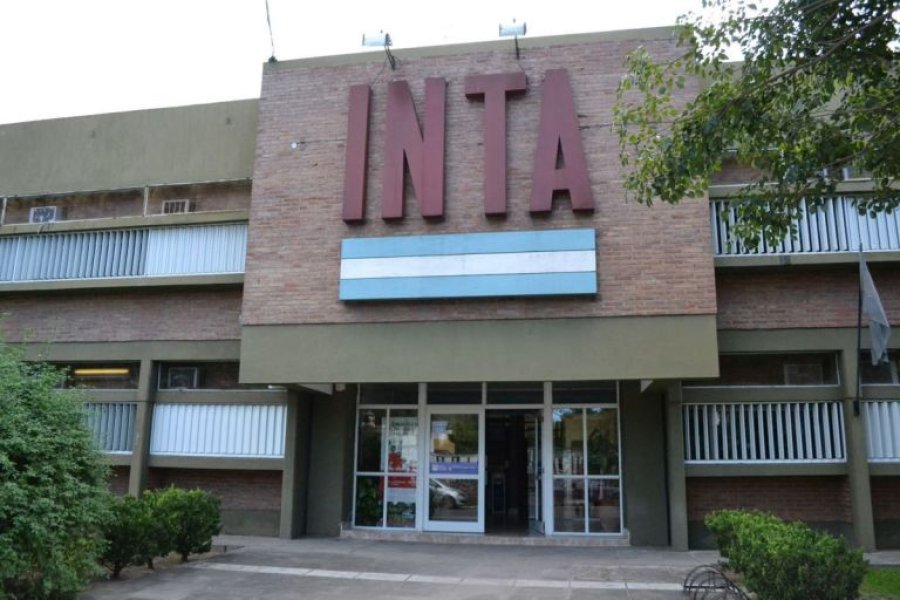 El INTA, que en diciembre cumplir&aacute; 69 a&ntilde;os, se encuentra bajo amenaza de la motosierra del Gobierno nacional.